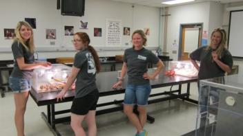 Delany Lab