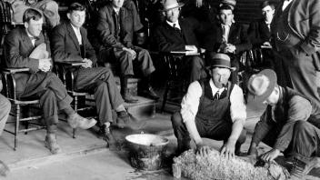 1908 Animal Short Course