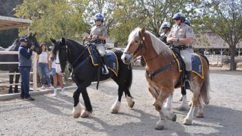 Scenes from Horse Day 2016