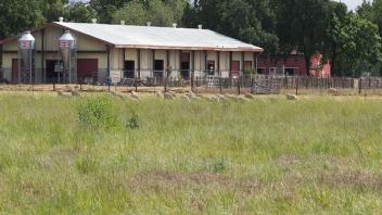 Sheep Facilities