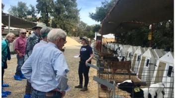 Dr. Tucker giving a tour of the UC Davis Dairy Teaching and Research Facility to the Osher Life-Long Learning group