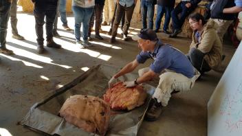 Dr. Hovey presenting at Australian dairy workshop
